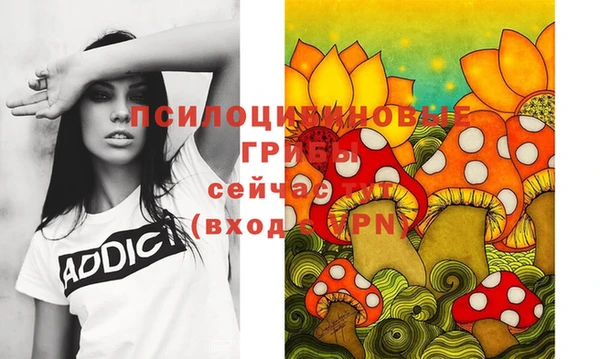 амф Абаза