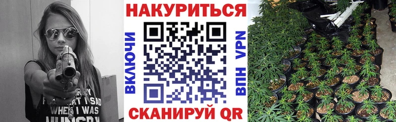Каннабис гибрид Клинцы